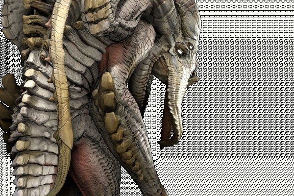 Kraken 24 at