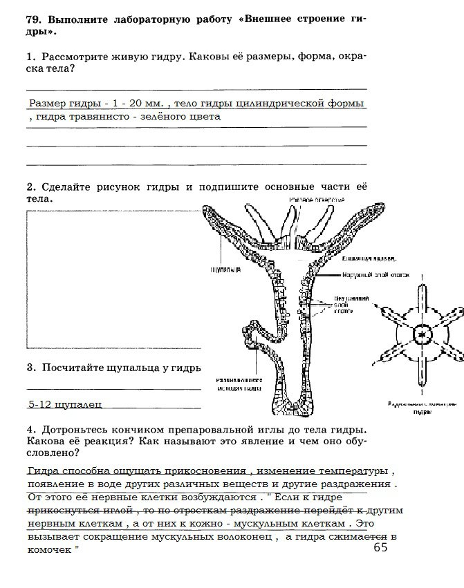 Ссылка на кракен onion kraken dark link