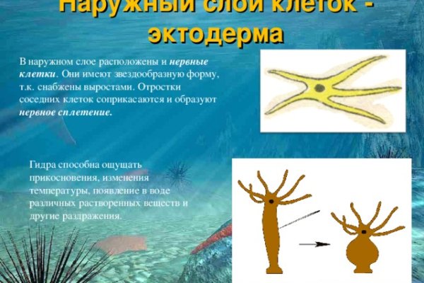Кракен купить наркотики