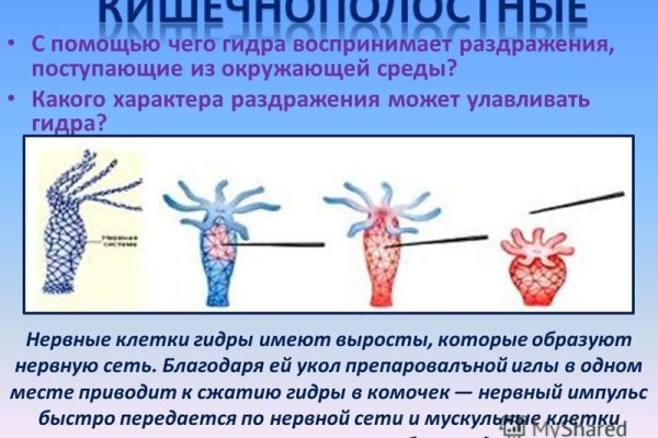 Где взять ссылку на кракен