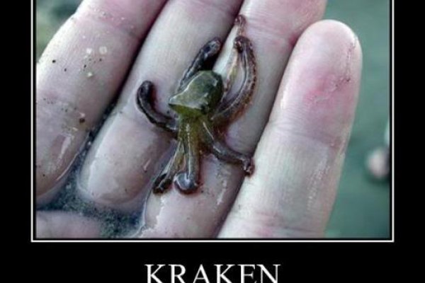 Kraken 26at