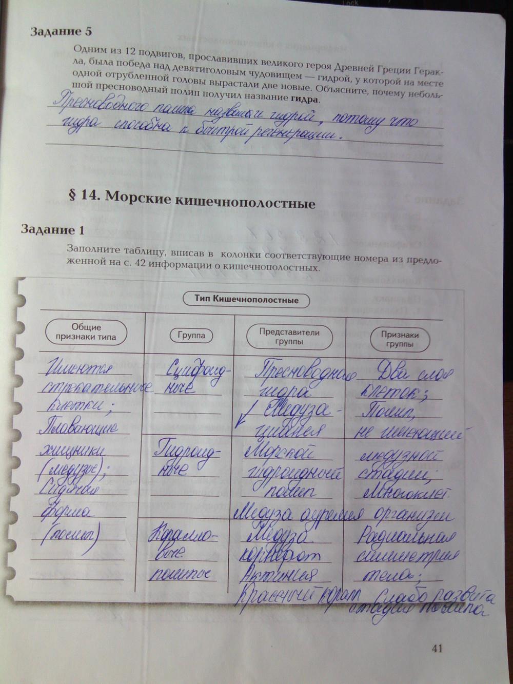 Кракен открылся