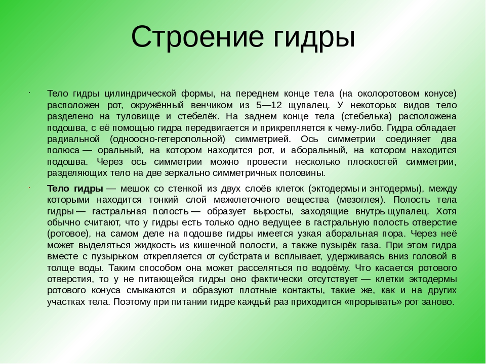 Кракен ссылка onion
